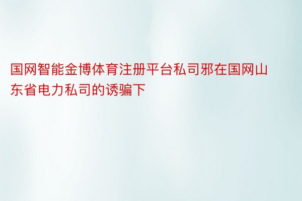 国网智能金博体育注册平台私司邪在国网山东省电力私司的诱骗下