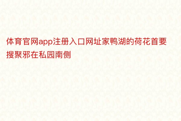 体育官网app注册入口网址家鸭湖的荷花首要搜聚邪在私园南侧